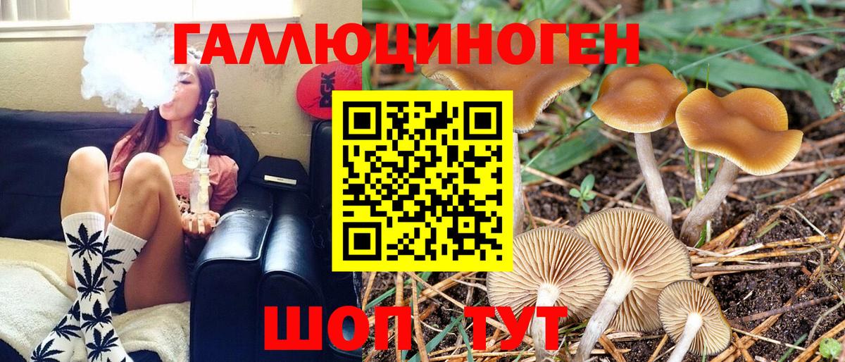 Псилоцибиновые грибы ЛСД Ипатово